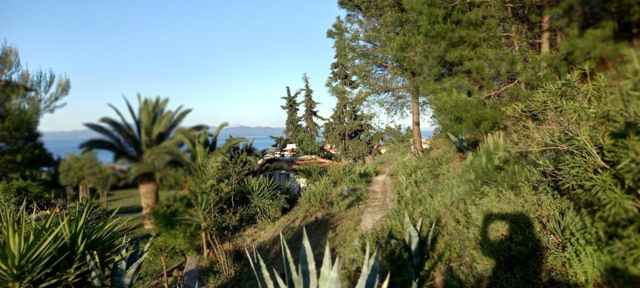Seaside View Villa Chaniotis Exterior foto